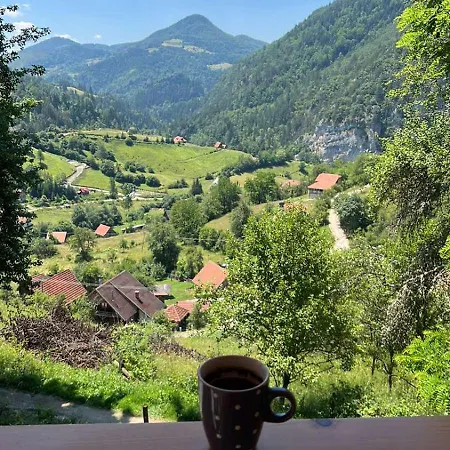 Ljubav Stara Zaovine