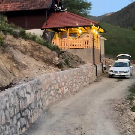 Ljubav Stara Zaovine