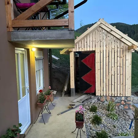 Ljubav Stara Zaovine Lazici